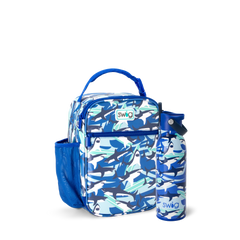 Shark Fin Boxxi Lunch Bundle